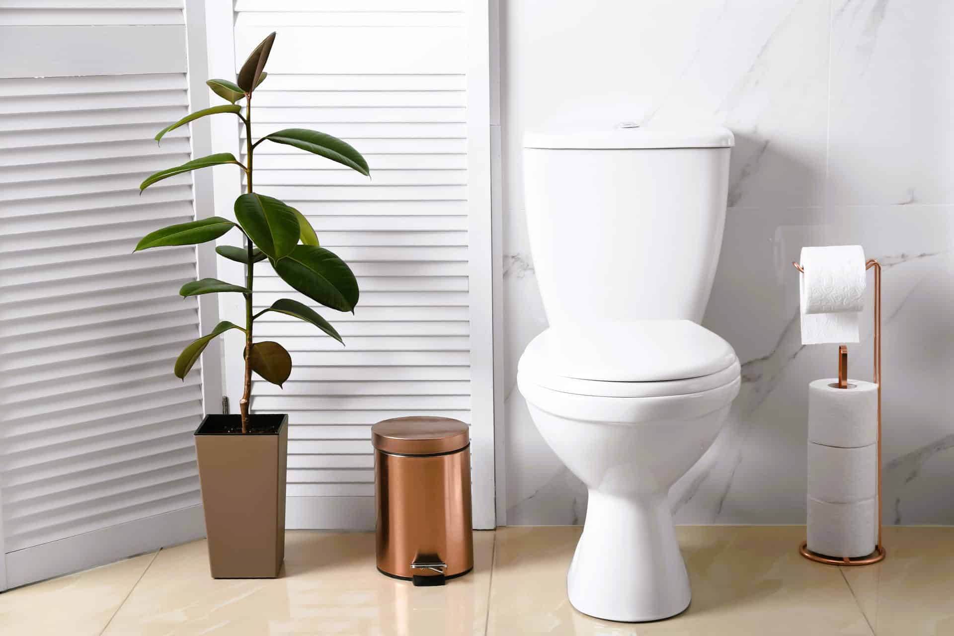 Bathroom toilet